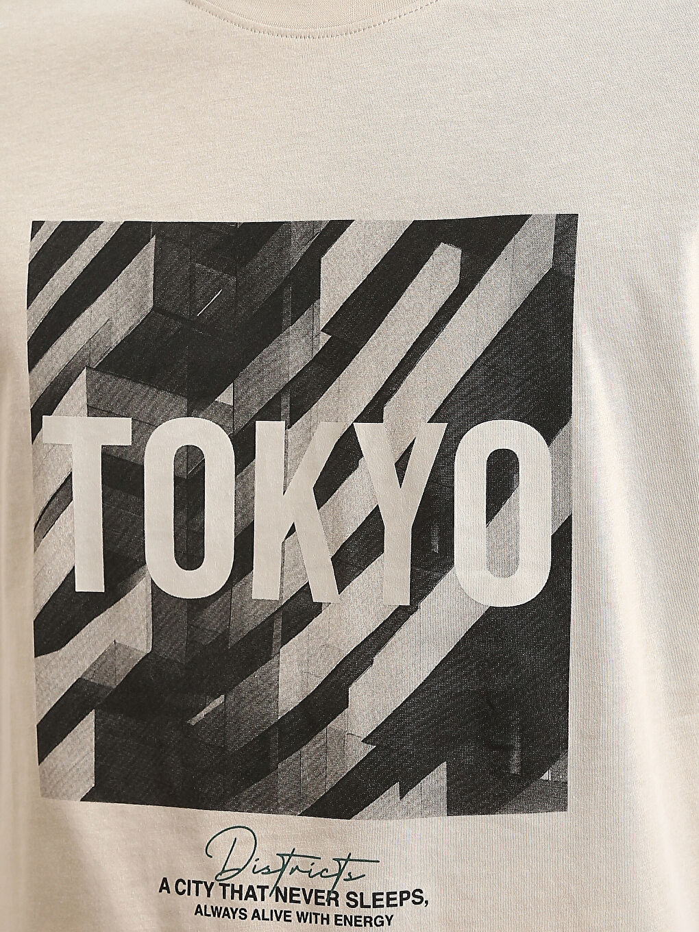 Crew Neck Printed Men's T-Shirt-2