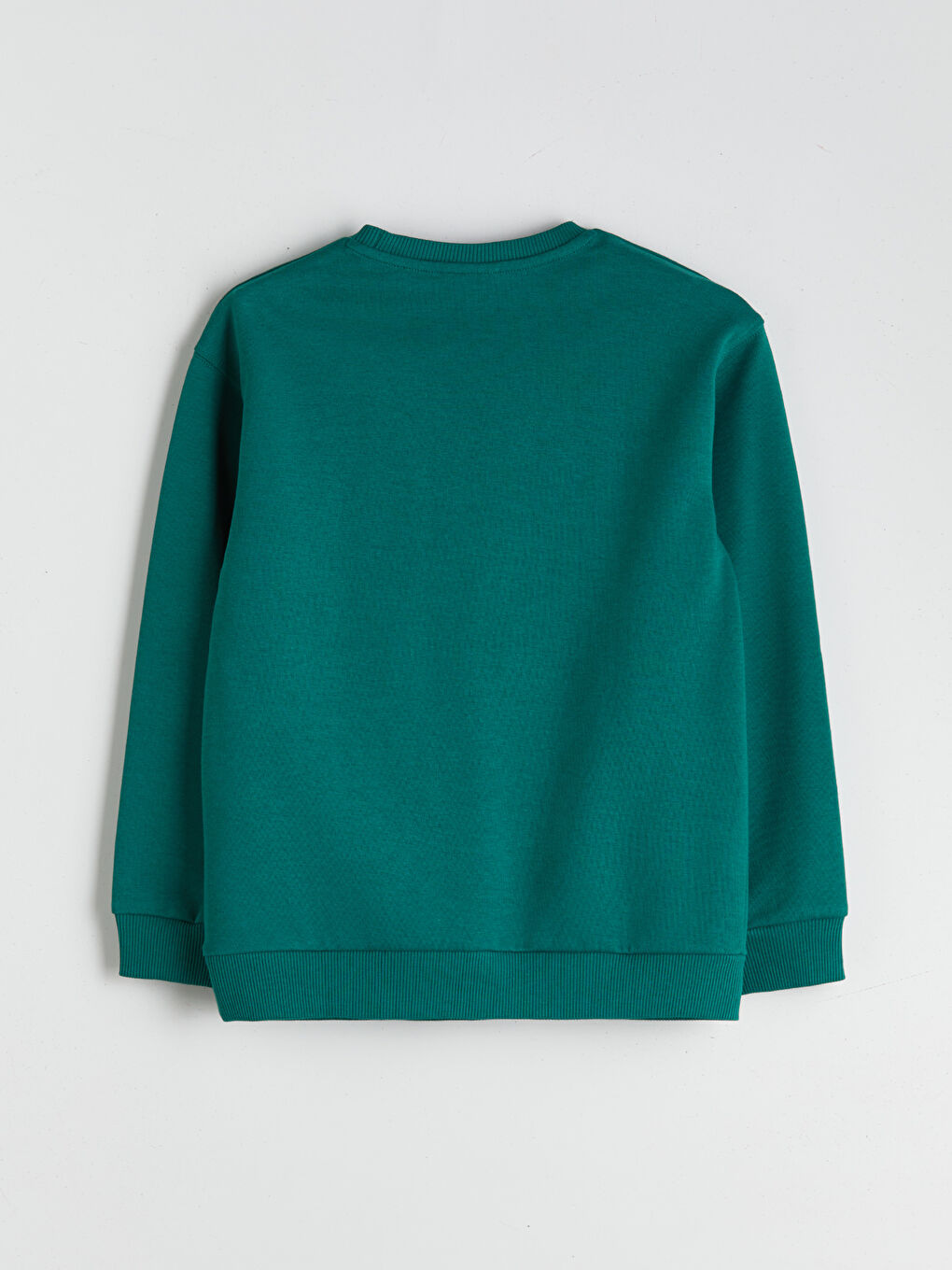 Crew Neck Boys' Sweatshirt-1