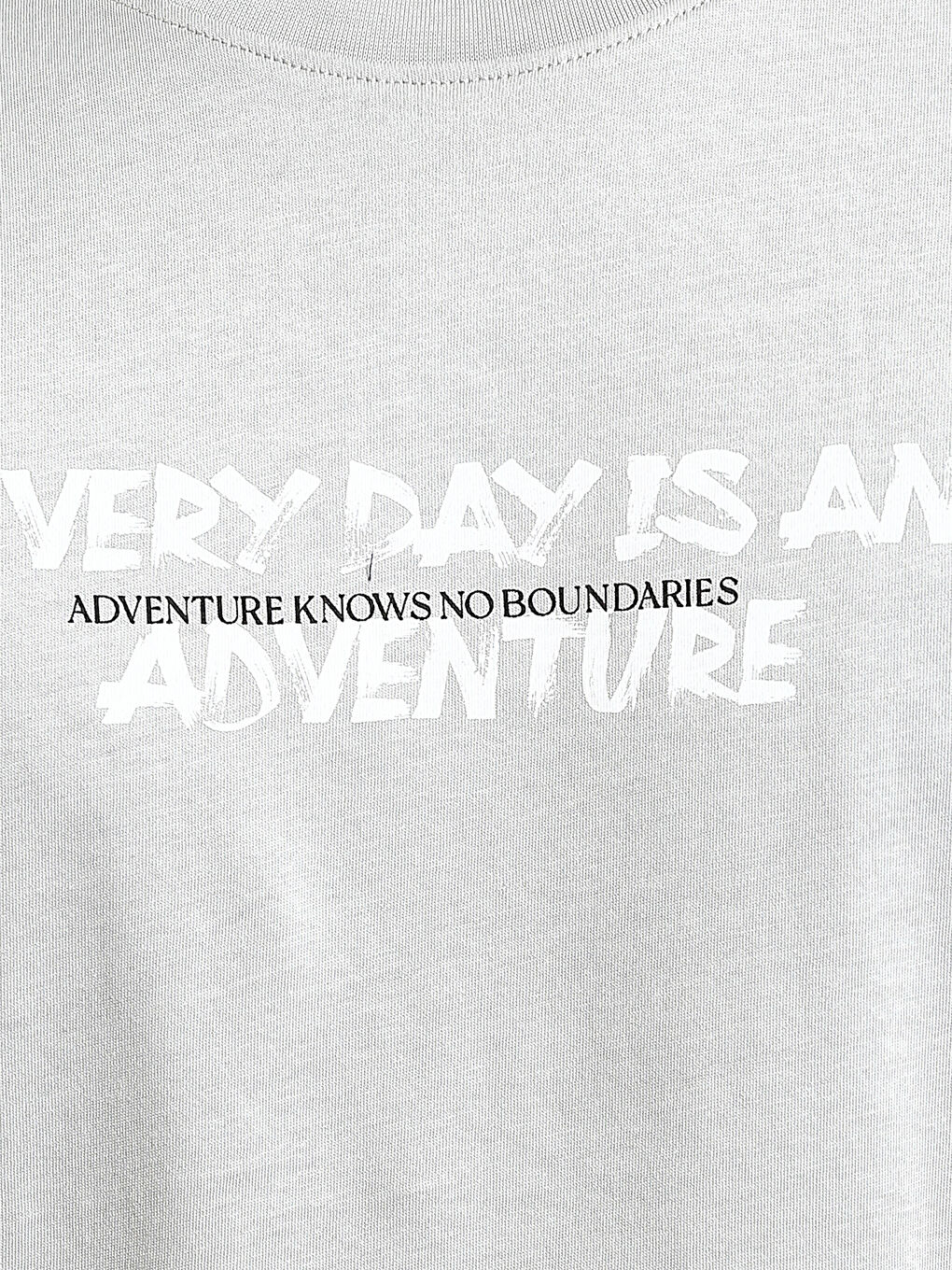 Crew Neck Printed Men's T-Shirt-2