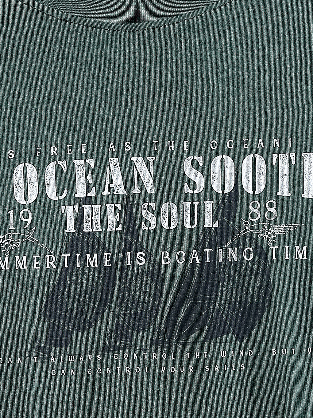 Crew Neck Printed Men's T-Shirt-2