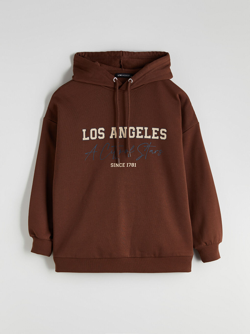 Los Angeles Printed Oversize Women's Thick Hoodie-4