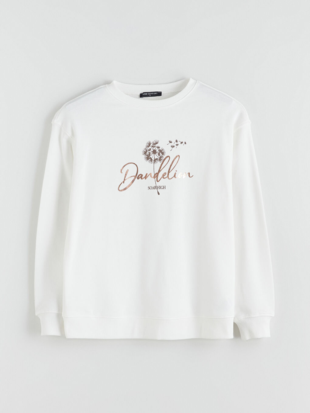 LCW Comfort Crew Neck Printed Women's Sweatshirt -W57917Z8-R9J