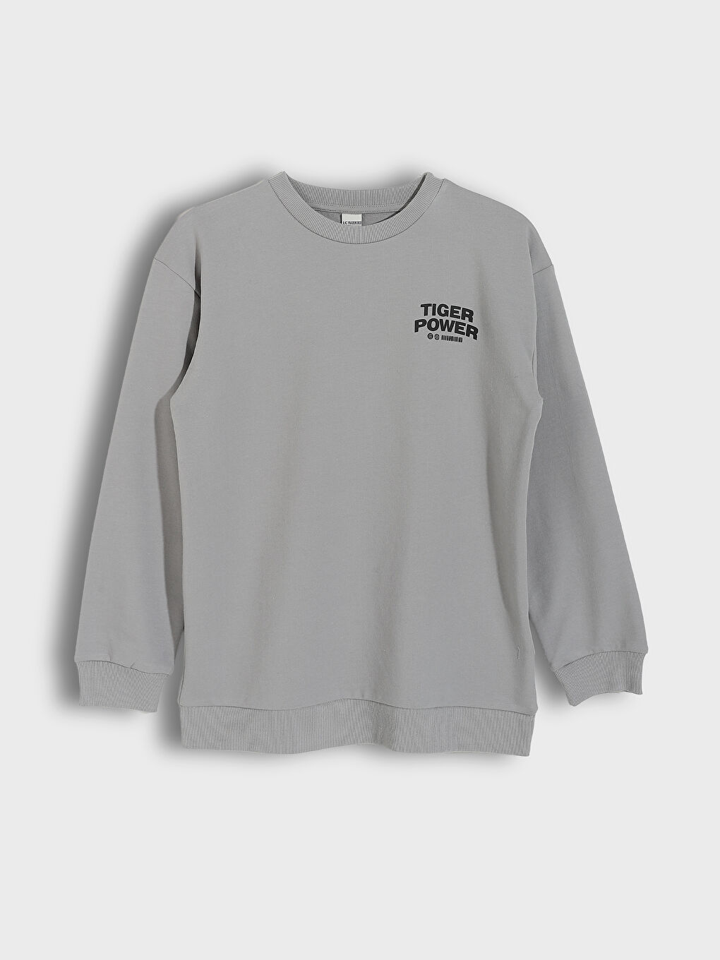 Crew Neck Boys' Sweatshirt