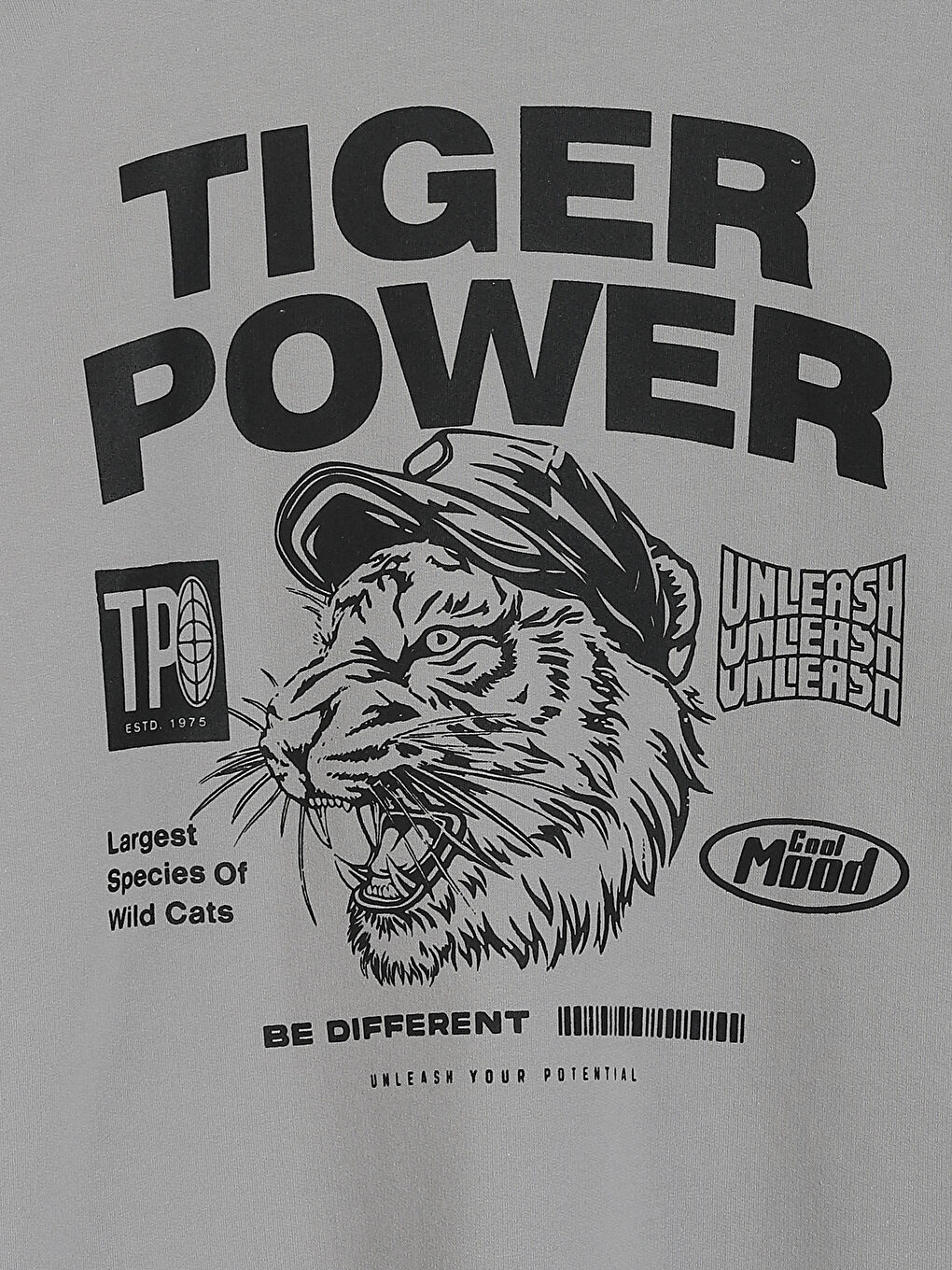 Crew Neck Boys' Sweatshirt-3