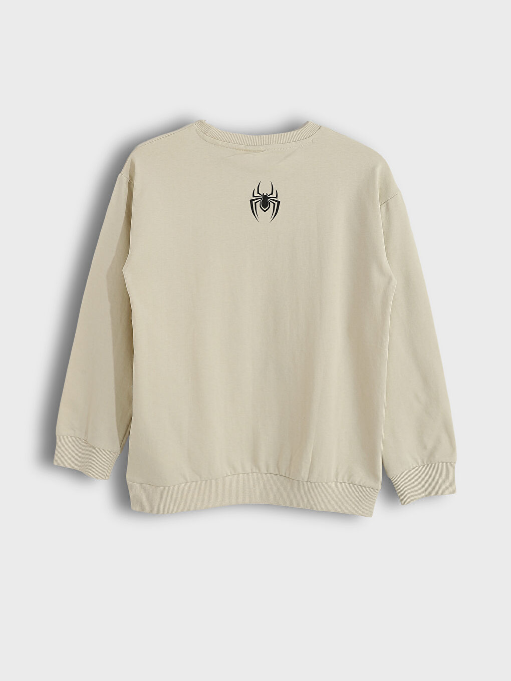 Crew Neck Spider-Man Printed Long Sleeve Boys' Sweatshirt-1