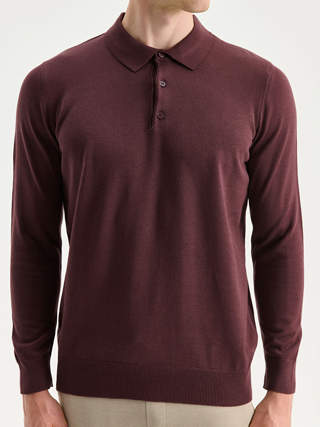 Mürdüm Polo Yaka Erkek Triko Kazak-2