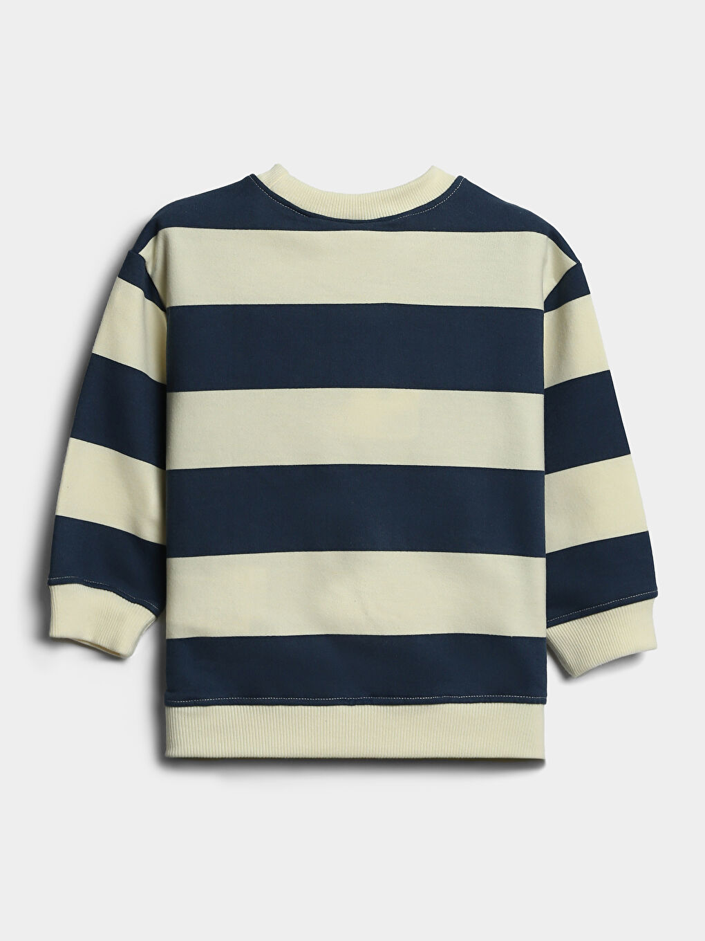 Crew Neck Striped Boys' Sweatshirt-1