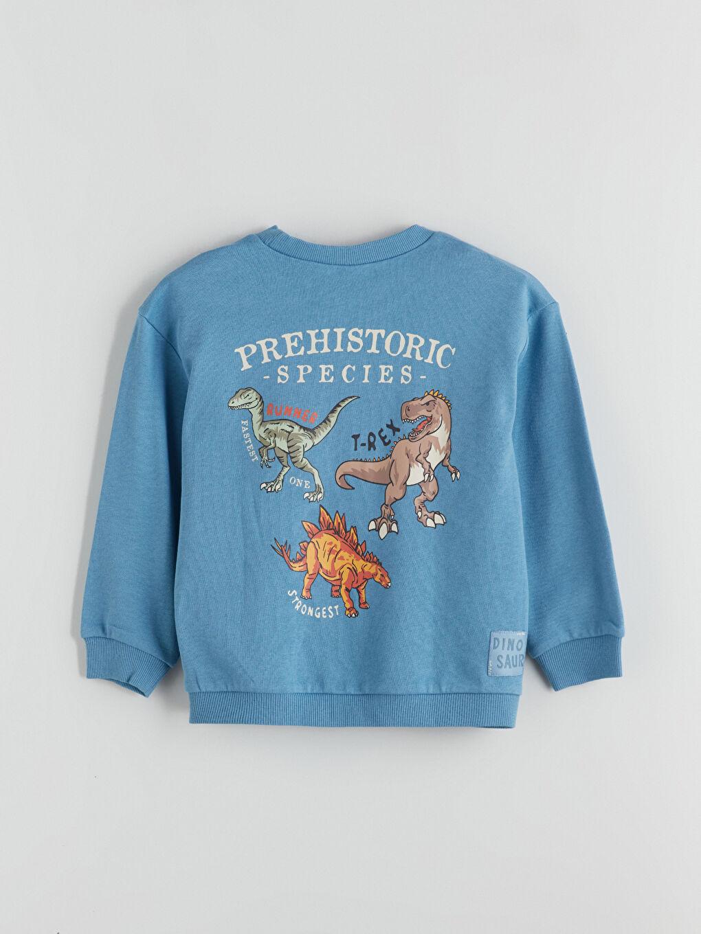 Crew Neck Boys' Sweatshirt and Sweatpants-4