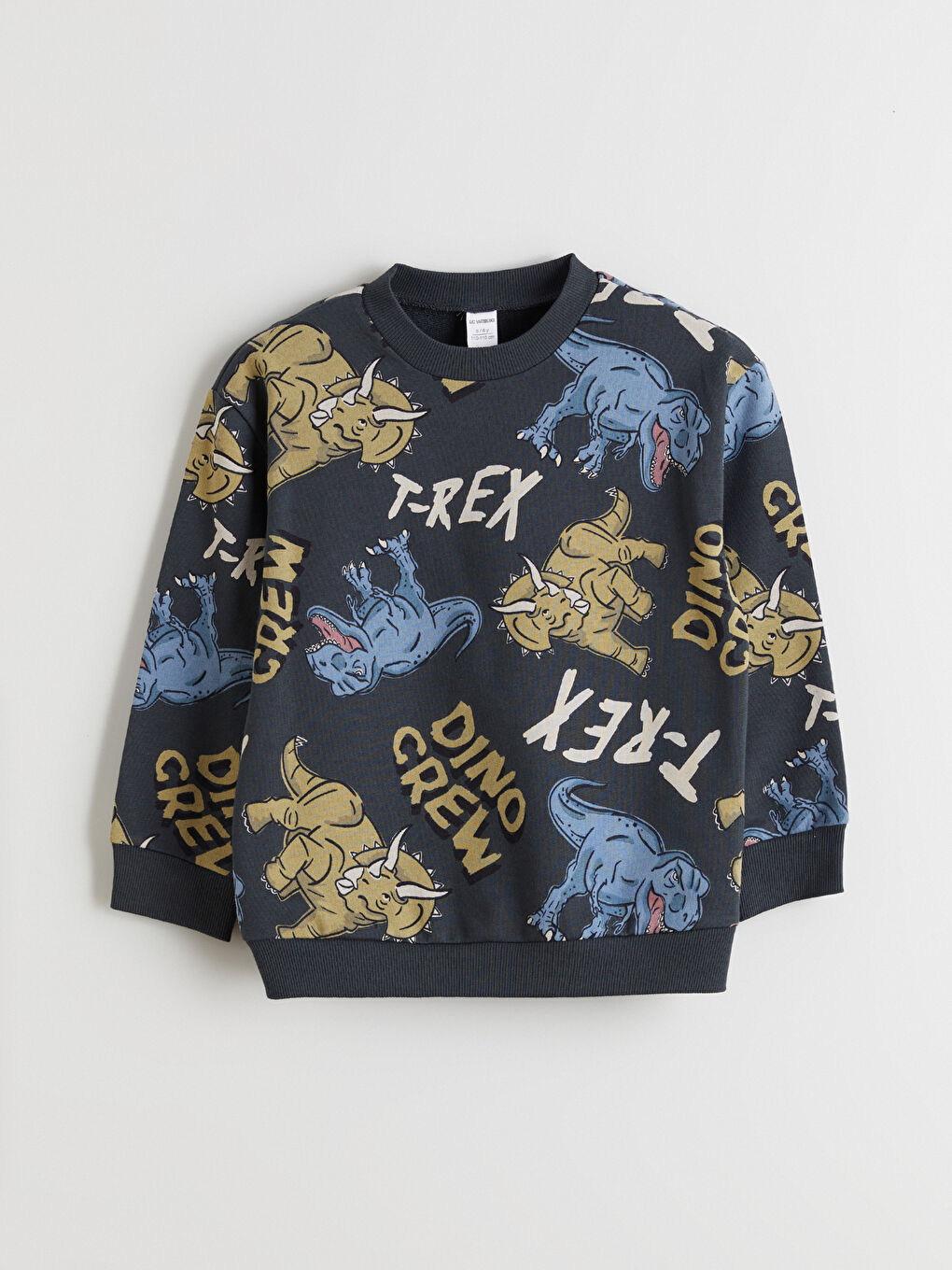 Antrasit Dinozor Baskılı Erkek Çocuk Sweatshirt