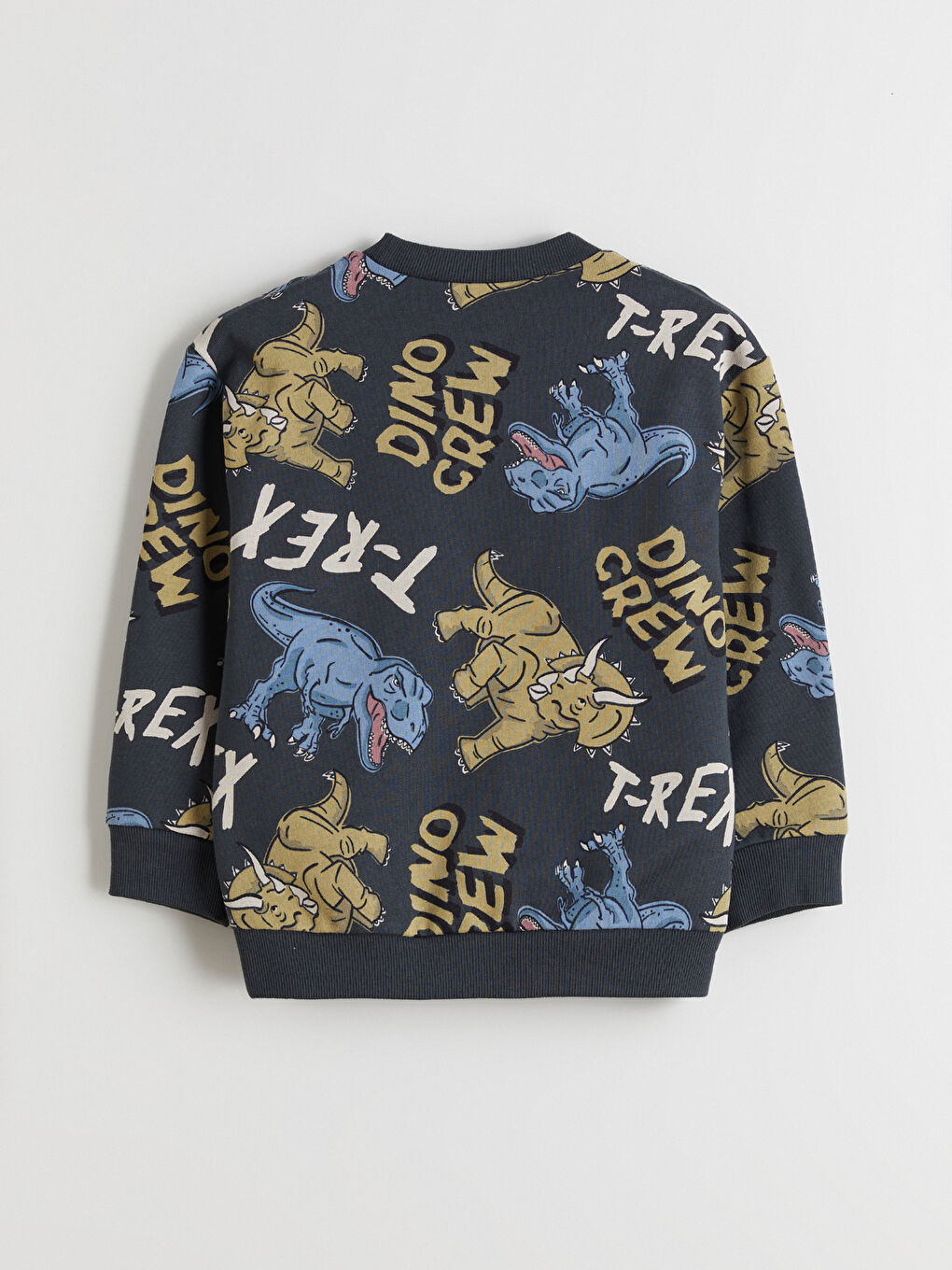 Antrasit Dinozor Baskılı Erkek Çocuk Sweatshirt-1