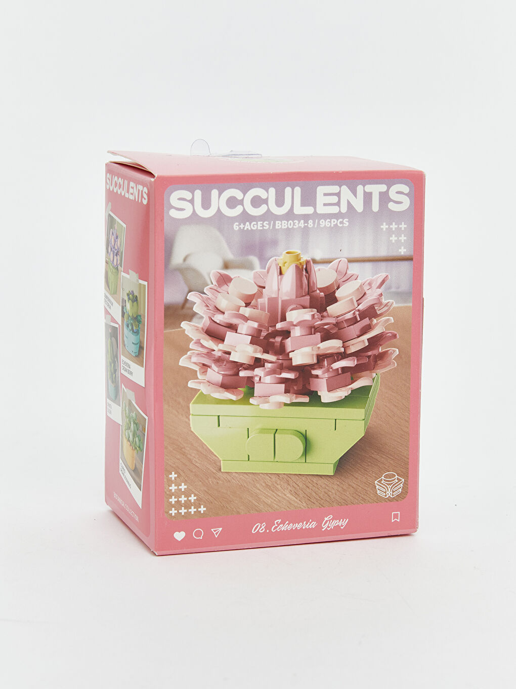 Succulent Flower Model Building Set-2