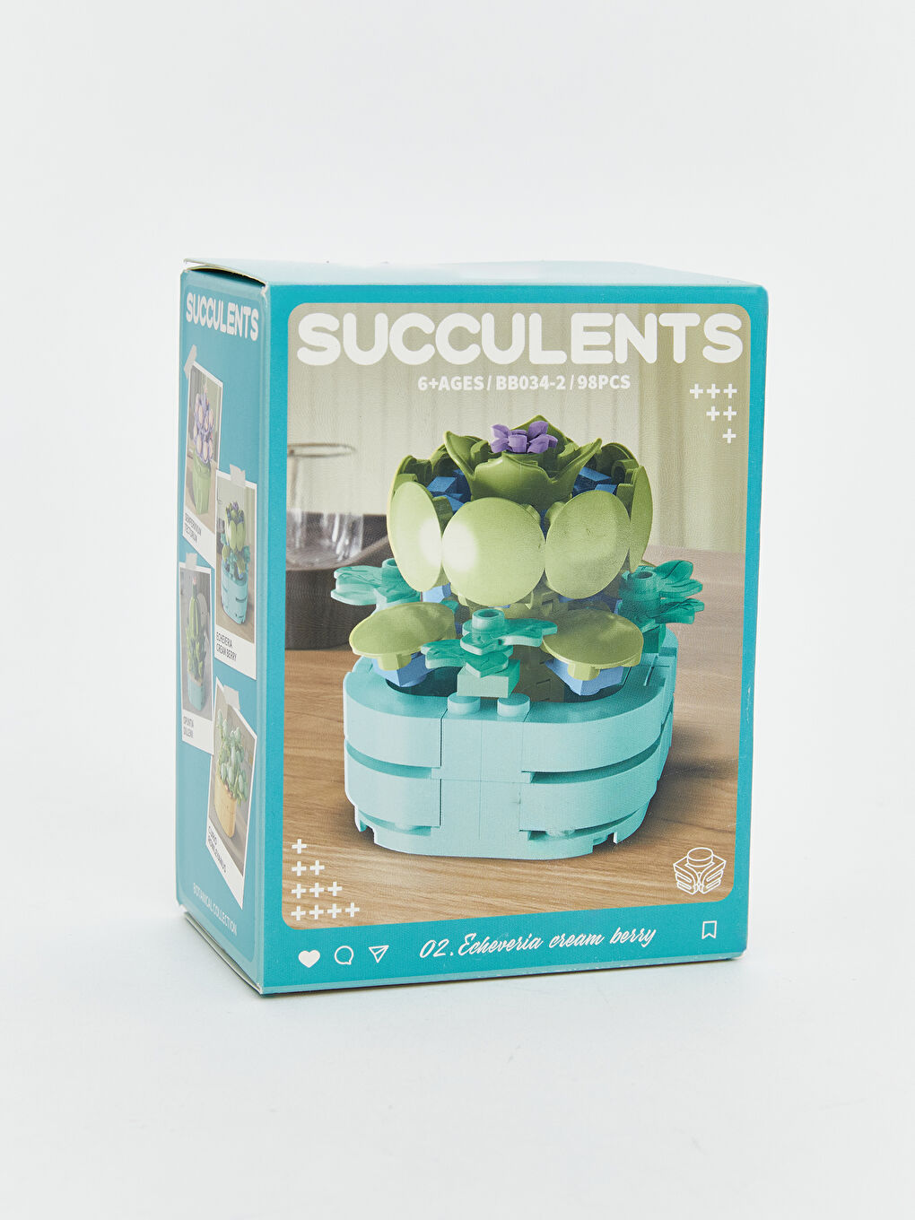 Succulent Flower Model Building Set-3