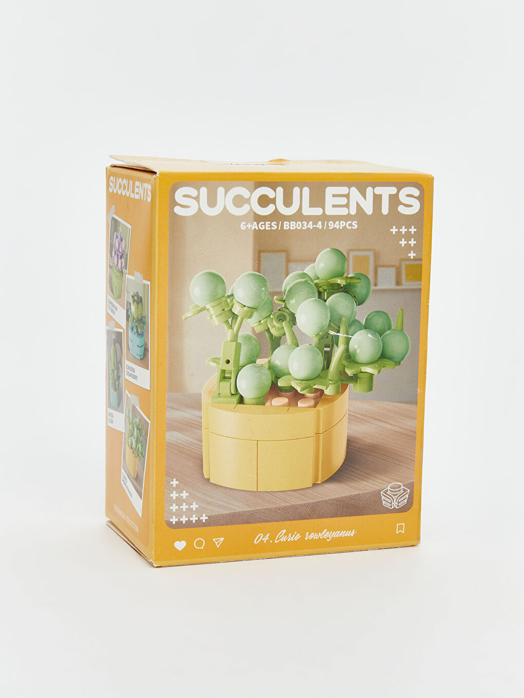 Succulent Flower Model Building Set-4