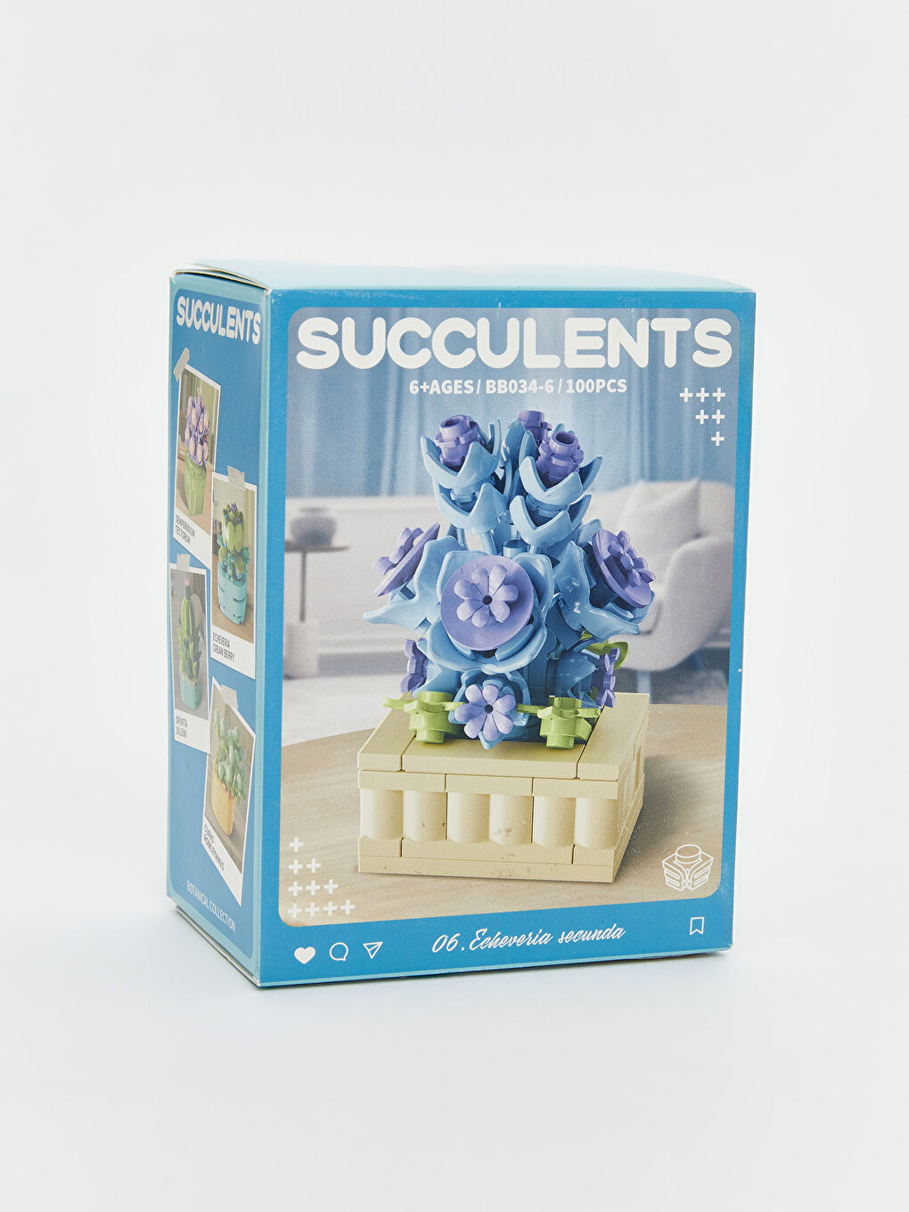Succulent Flower Model Building Set-5