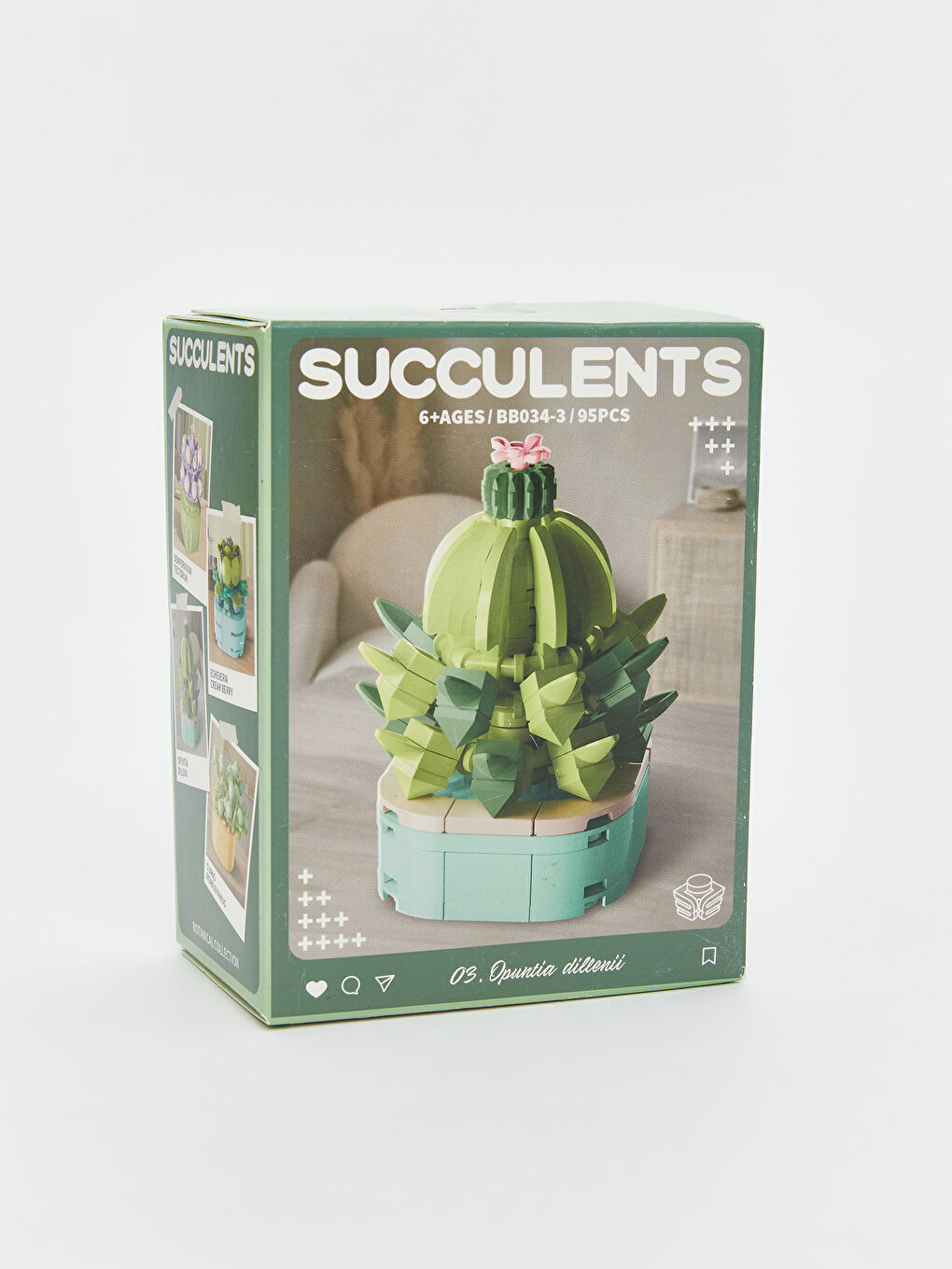 Succulent Flower Model Building Set-6