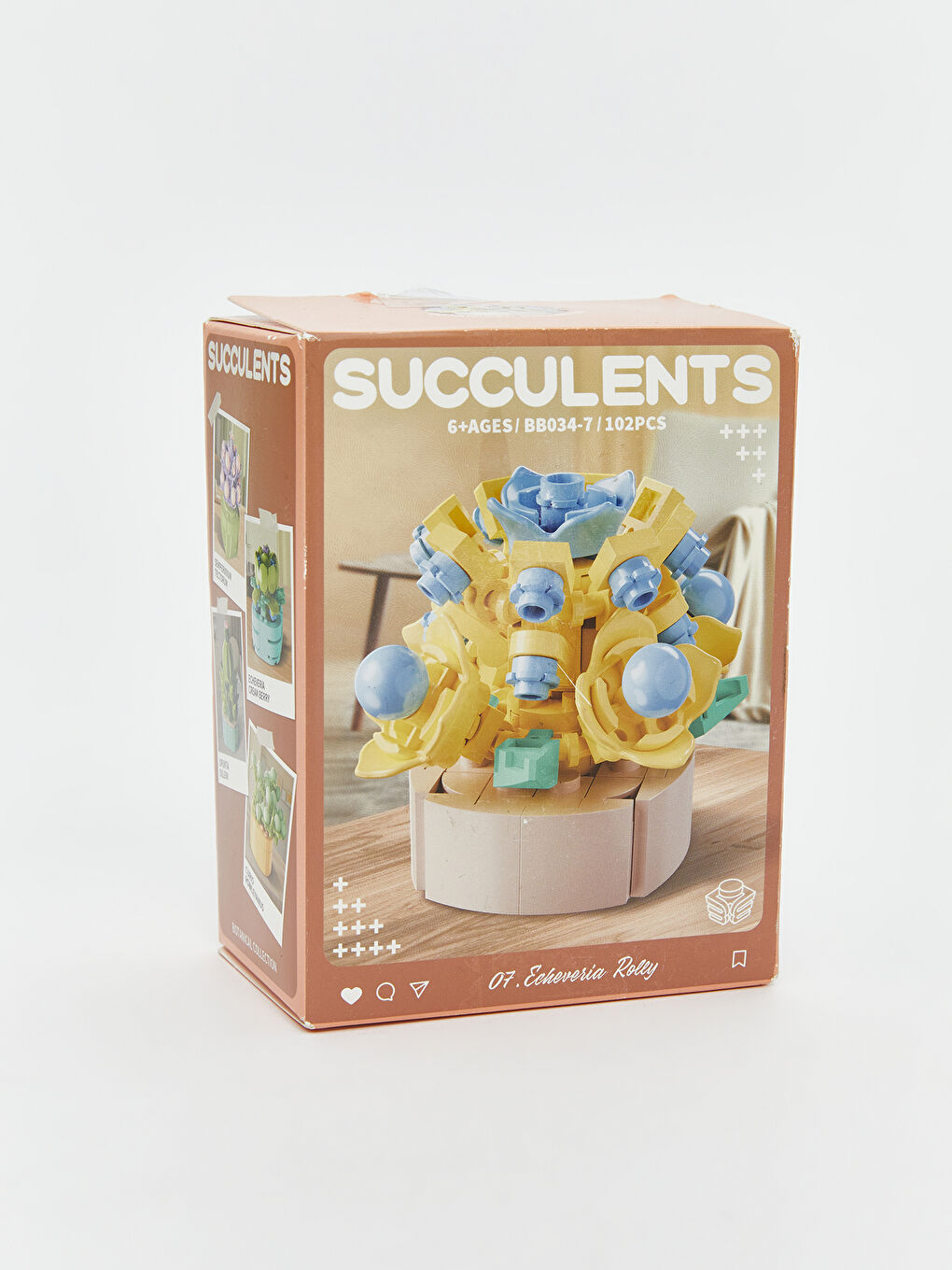 Succulent Flower Model Building Set-7
