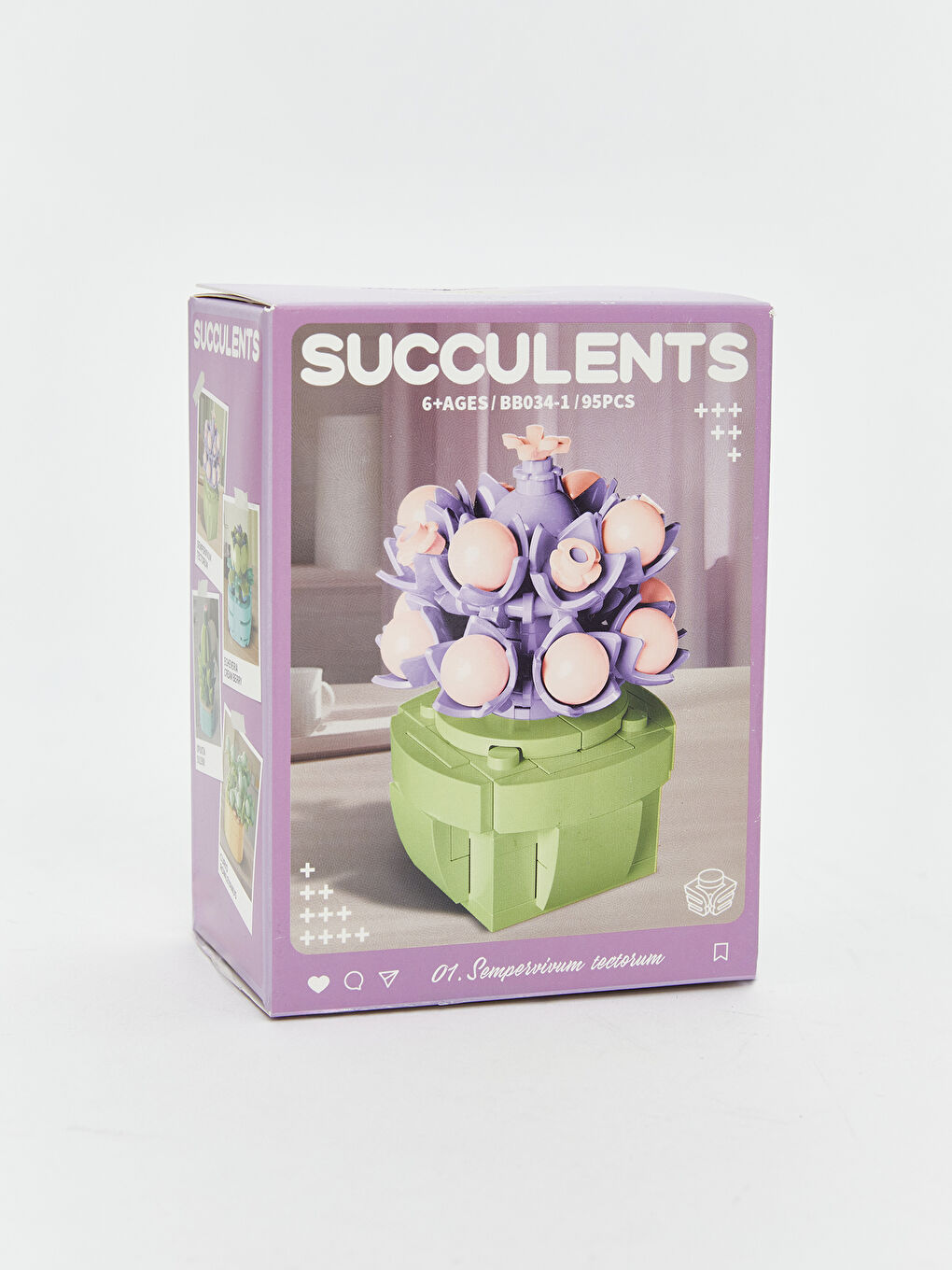 Succulent Flower Model Building Set-8