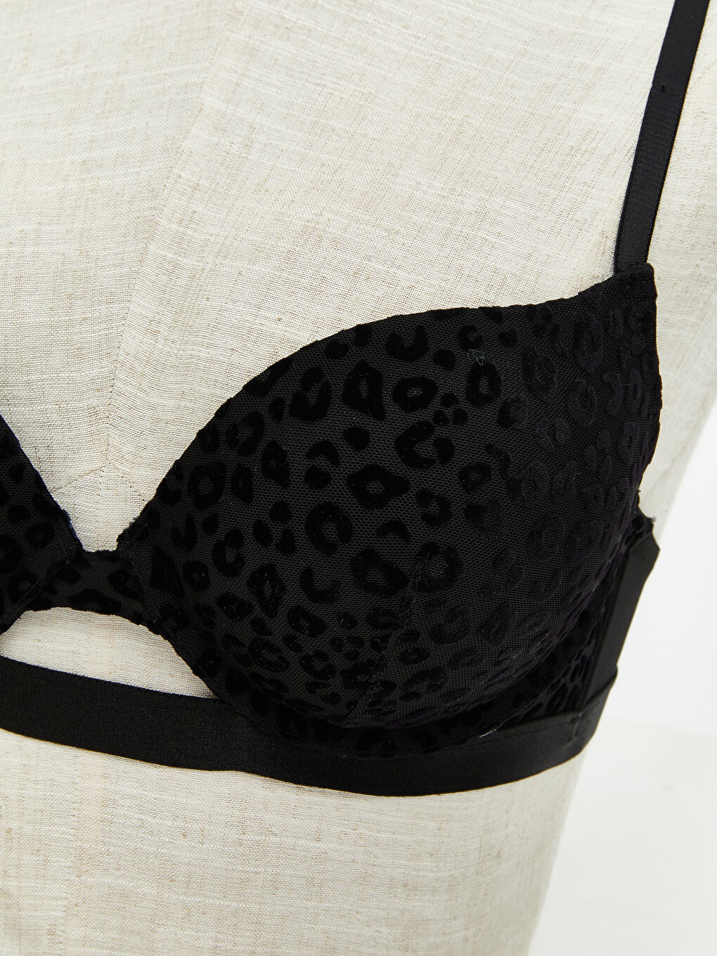 Underwire Filled Patterned T-Shirt Bra-2