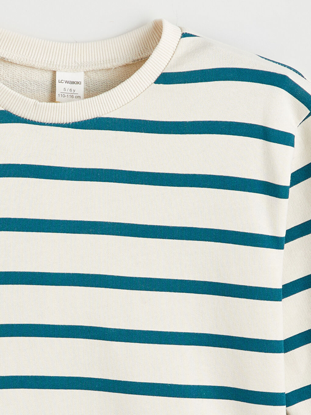 Crew Neck Striped Boys' Sweatshirt-1