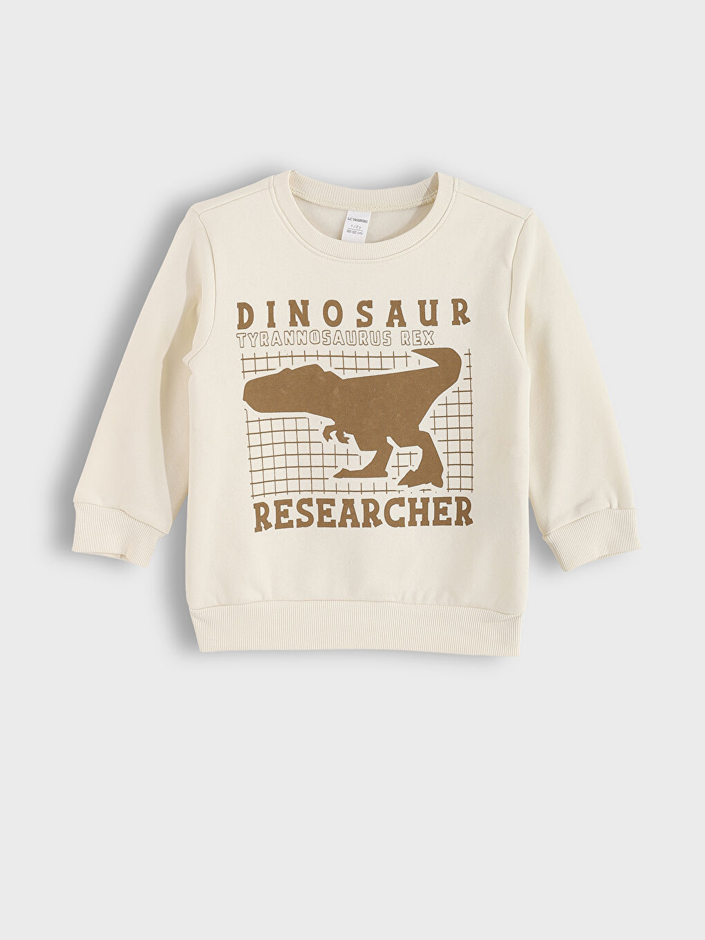 Crew Neck Printed Boys' Sweatshirt 2 Pack-1