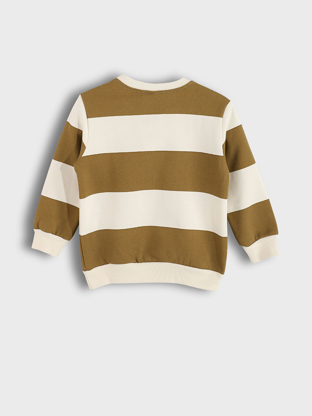 Crew Neck Printed Boys' Sweatshirt 2 Pack-4