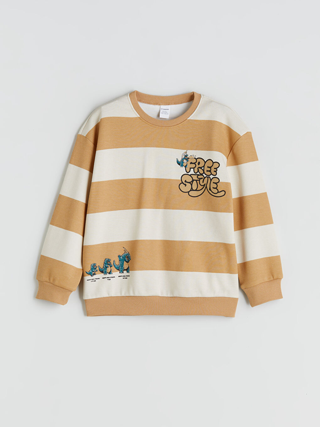 Crew Neck Printed Boys' Sweatshirt-1