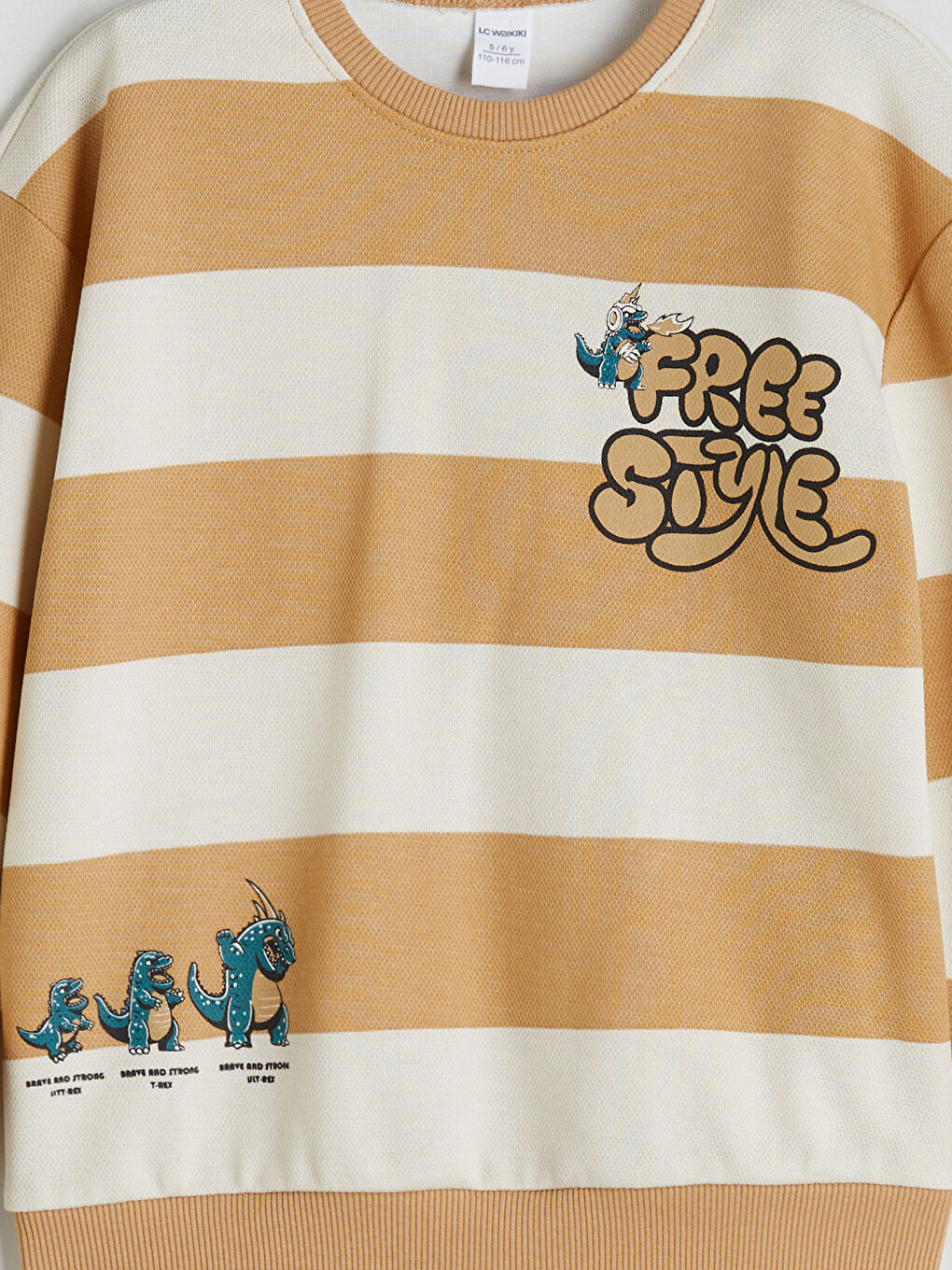 Crew Neck Printed Boys' Sweatshirt-2
