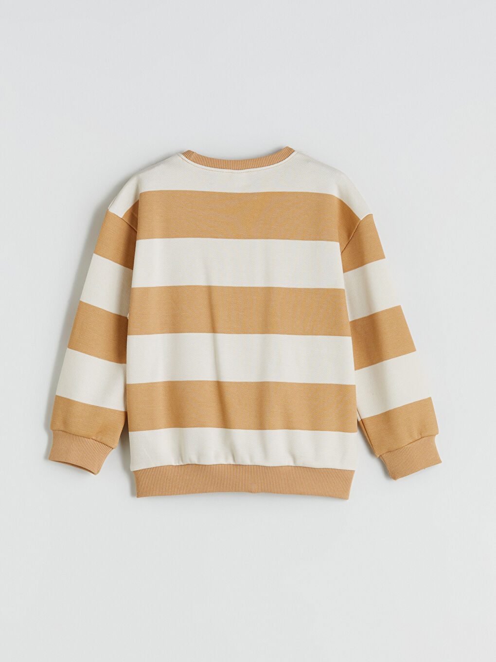 Crew Neck Printed Boys' Sweatshirt-3