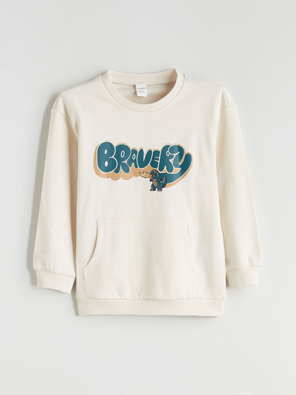 Crew Neck Printed Boys' Sweatshirt-2