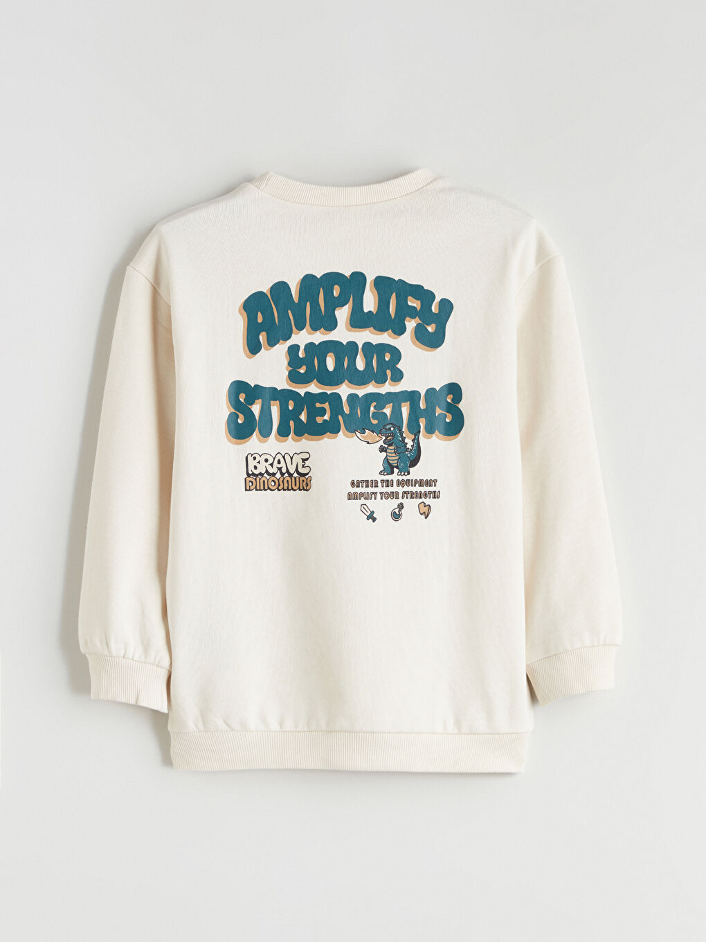 Crew Neck Printed Boys' Sweatshirt-5