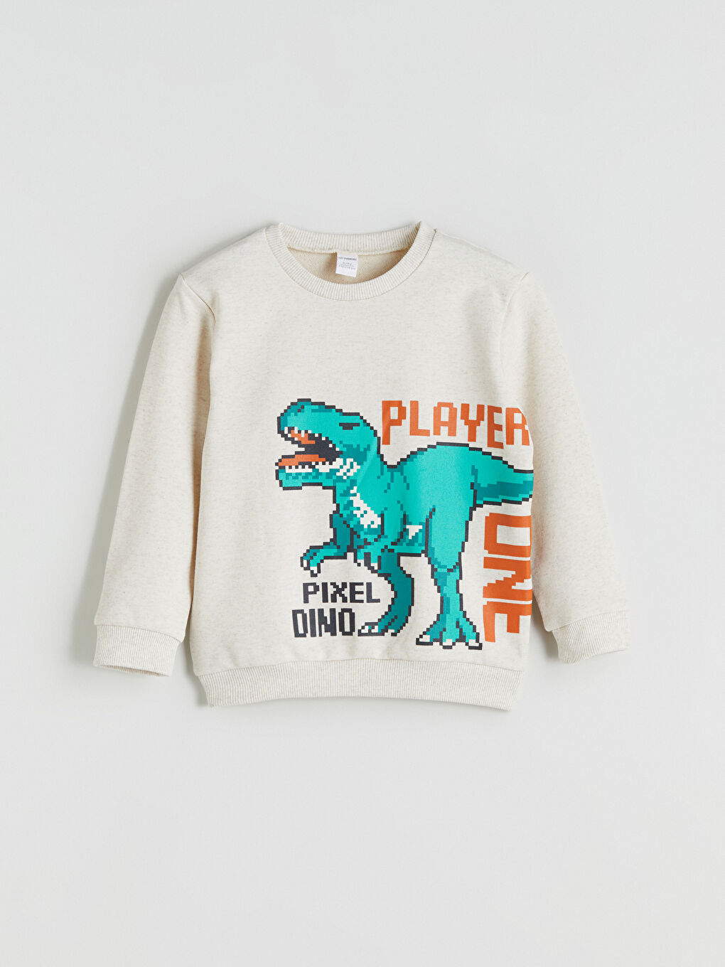 Beyaz Dinozor Baskılı Erkek Çocuk Sweatshirt