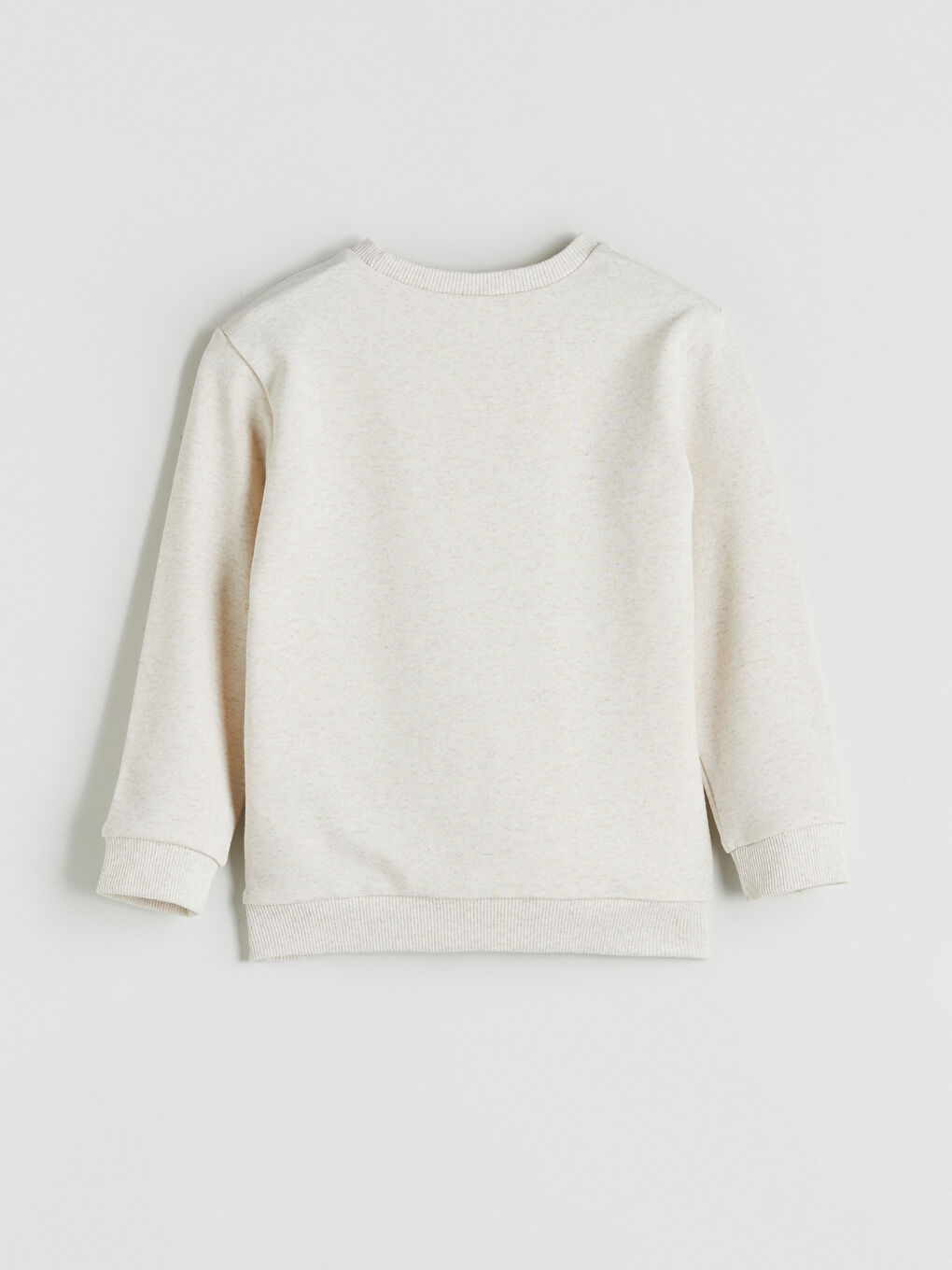 Beyaz Dinozor Baskılı Erkek Çocuk Sweatshirt-2