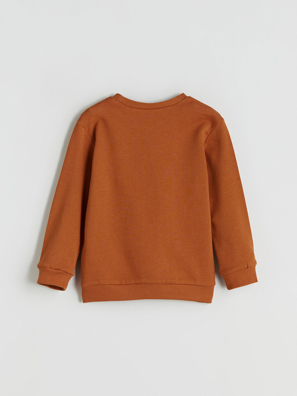Crew Neck Printed Boys' Sweatshirt 2 Pack-3