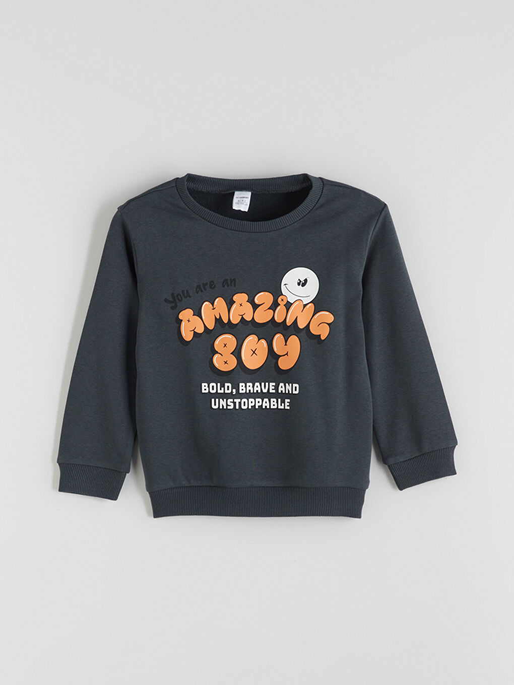 Crew Neck Printed Boys' Sweatshirt 2 Pack-1