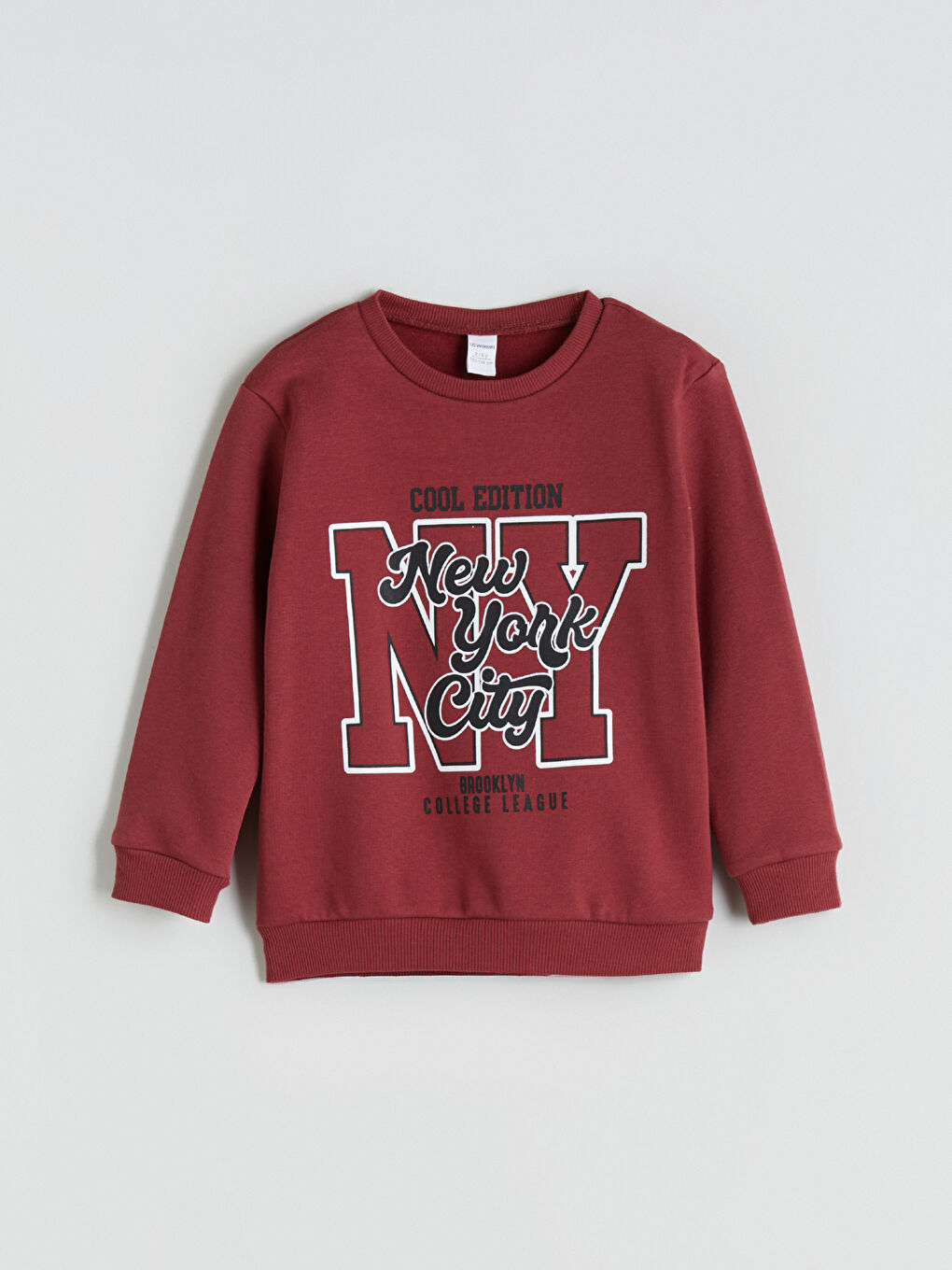 Crew Neck Printed Boys' Sweatshirt 2 Pack-1