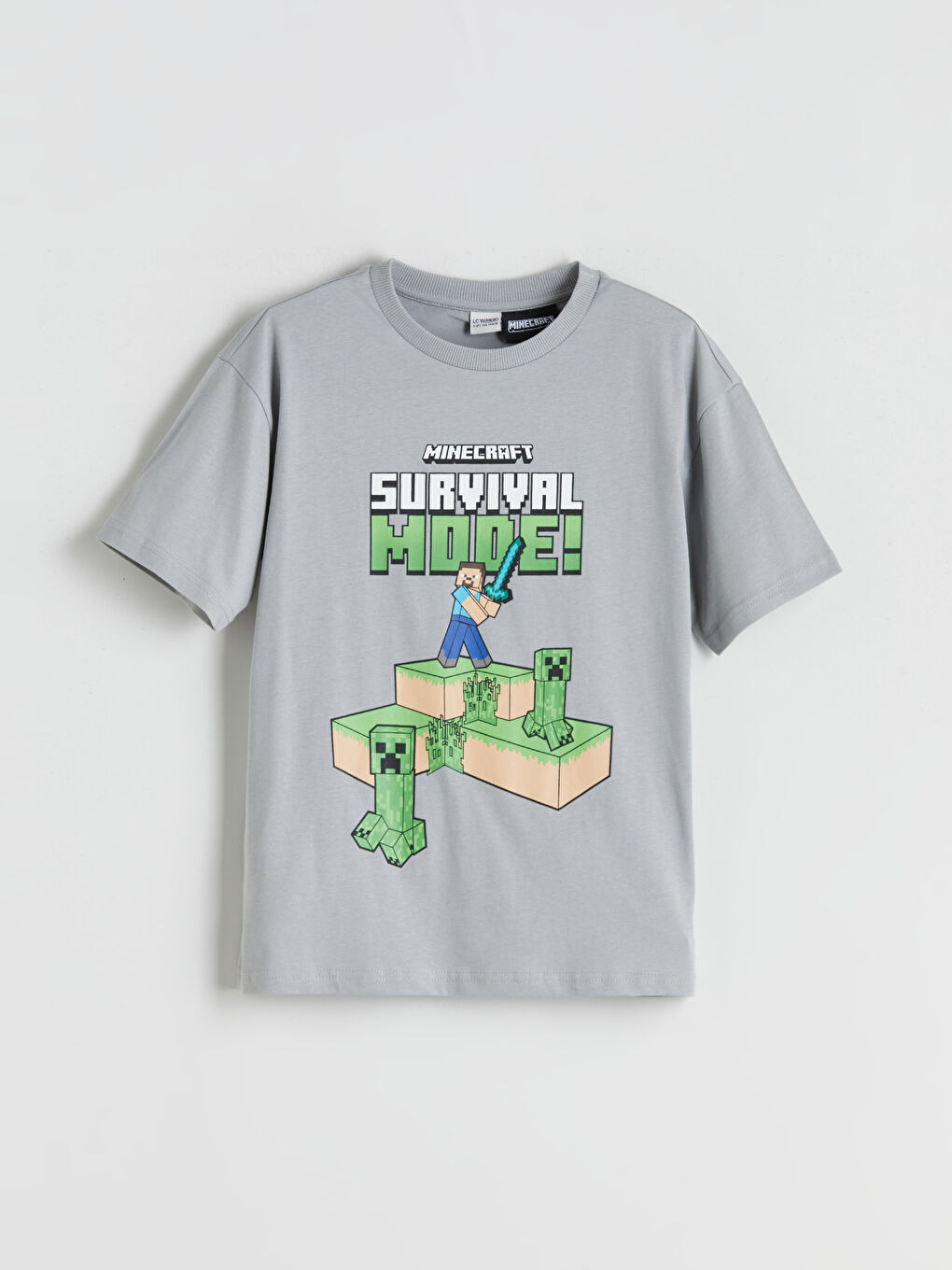 LC WAIKIKI Crew Neck Printed Boys' T-Shirt -W5AC73Z4-R10