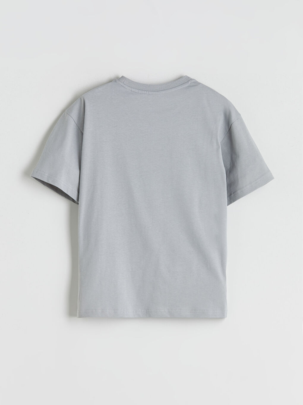 LC WAIKIKI Crew Neck Printed Boys' T-Shirt -W5AC73Z4-R10