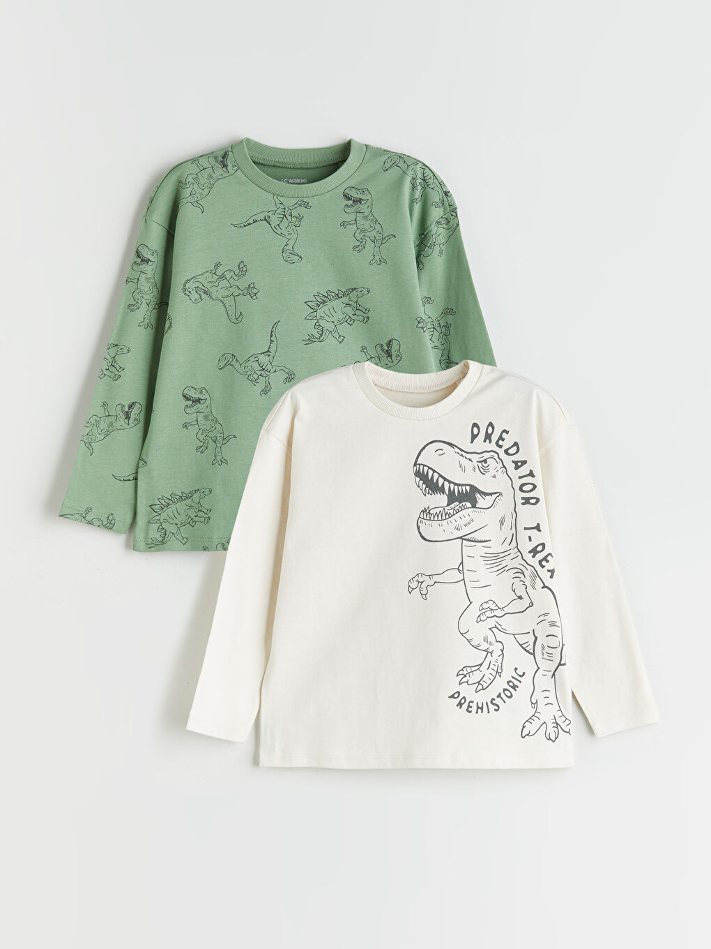 Crew Neck Printed Boys' T-Shirt 2 Pack