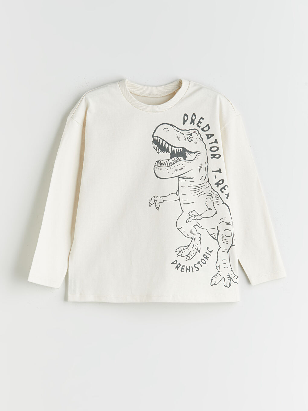 Crew Neck Printed Boys' T-Shirt 2 Pack-1