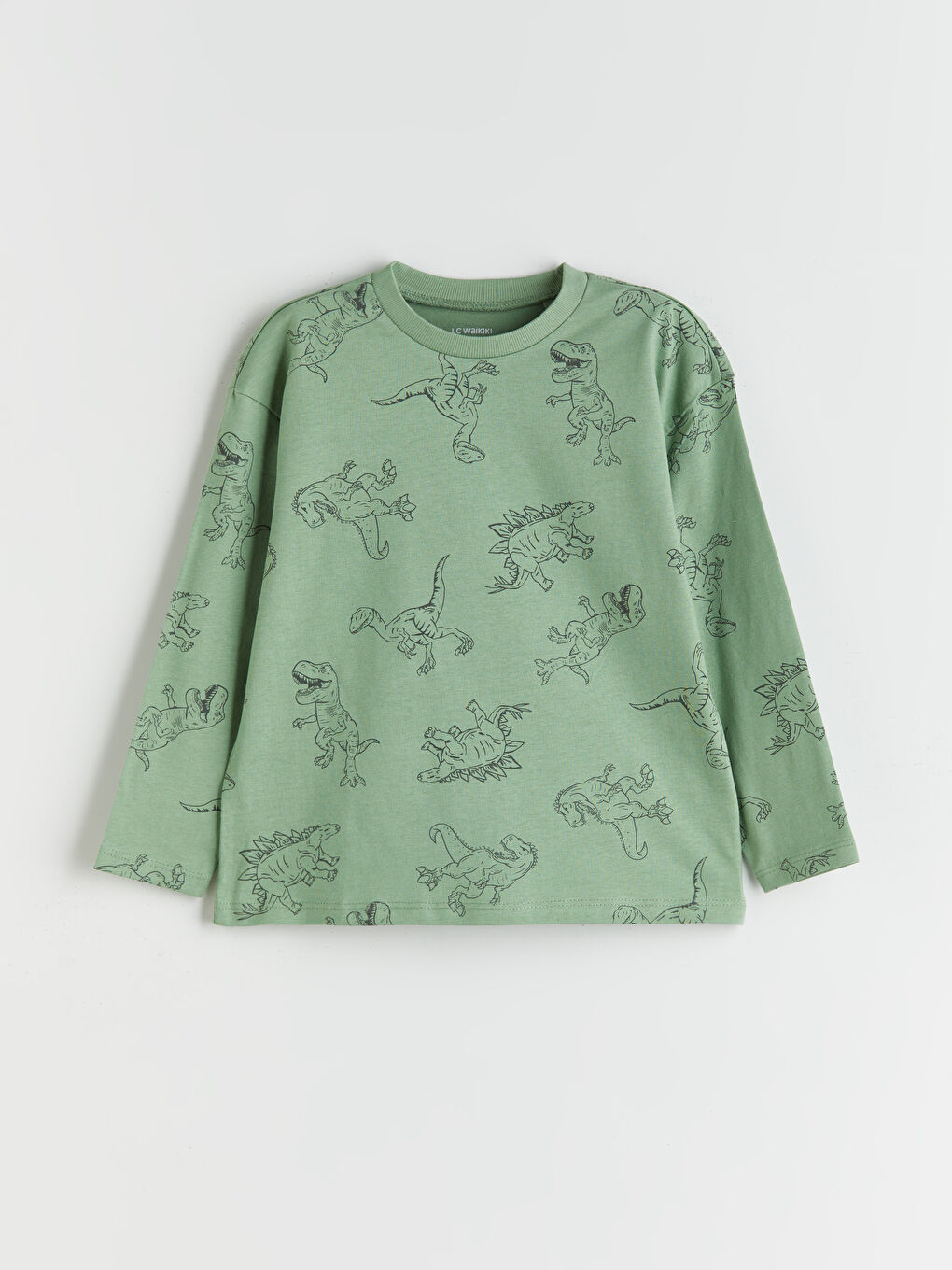 Crew Neck Printed Boys' T-Shirt 2 Pack-3