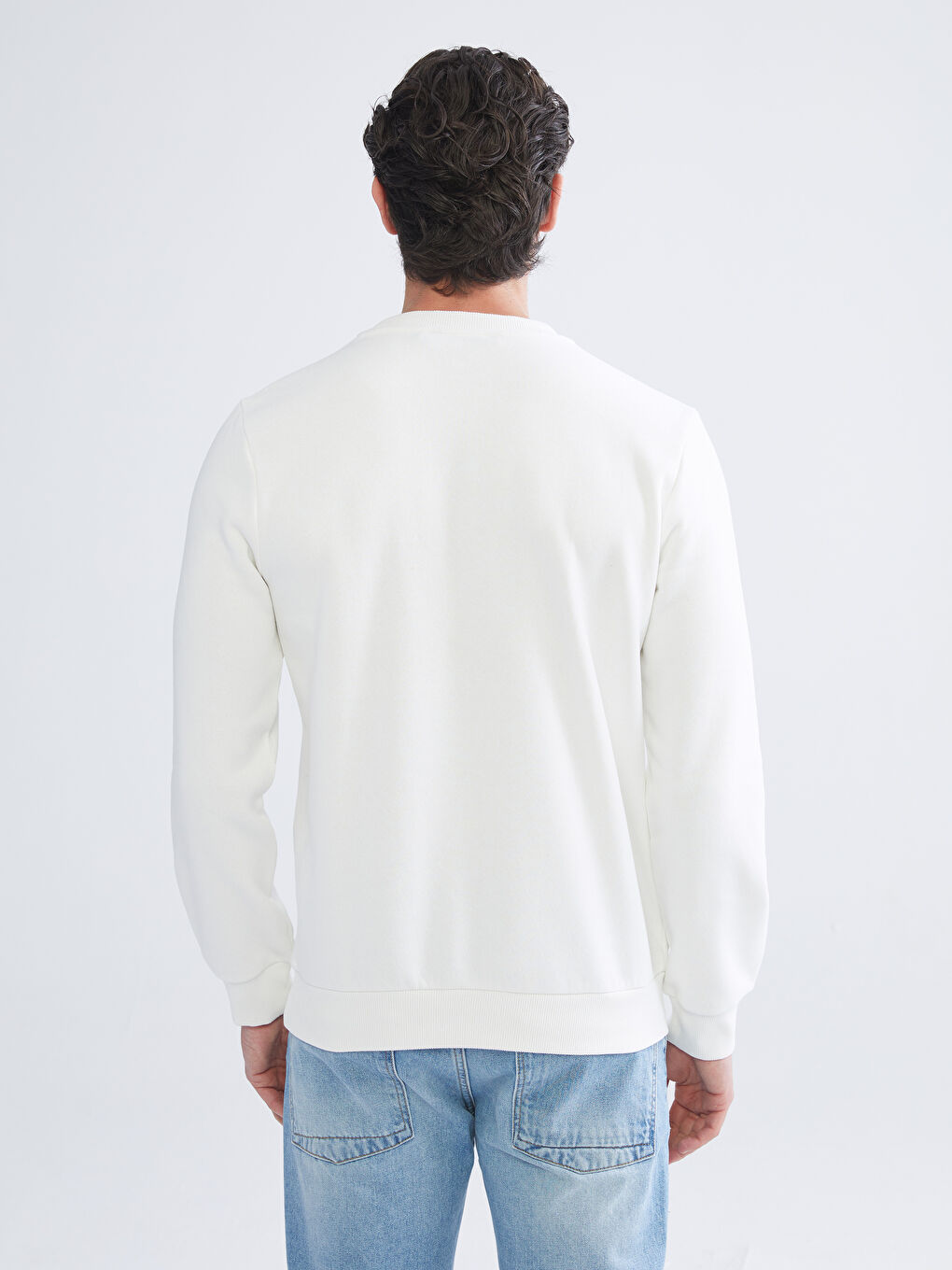 Crew Neck Printed Men's Thick Sweatshirt-6