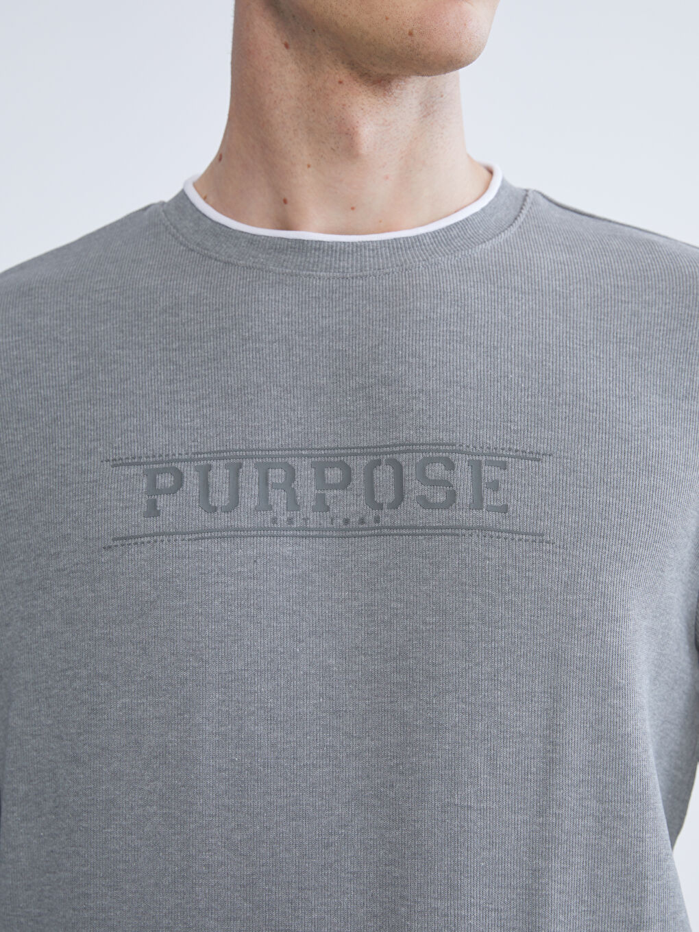 Crew Neck Printed Men's Sweatshirt-2