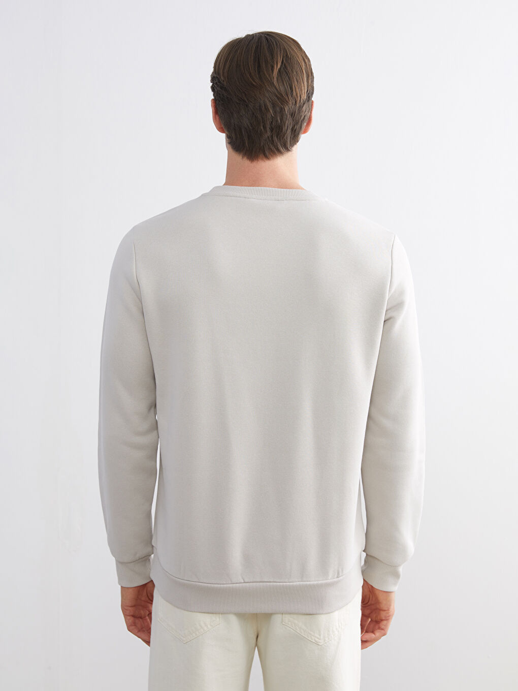 Crew Neck Printed Men's Sweatshirt-3