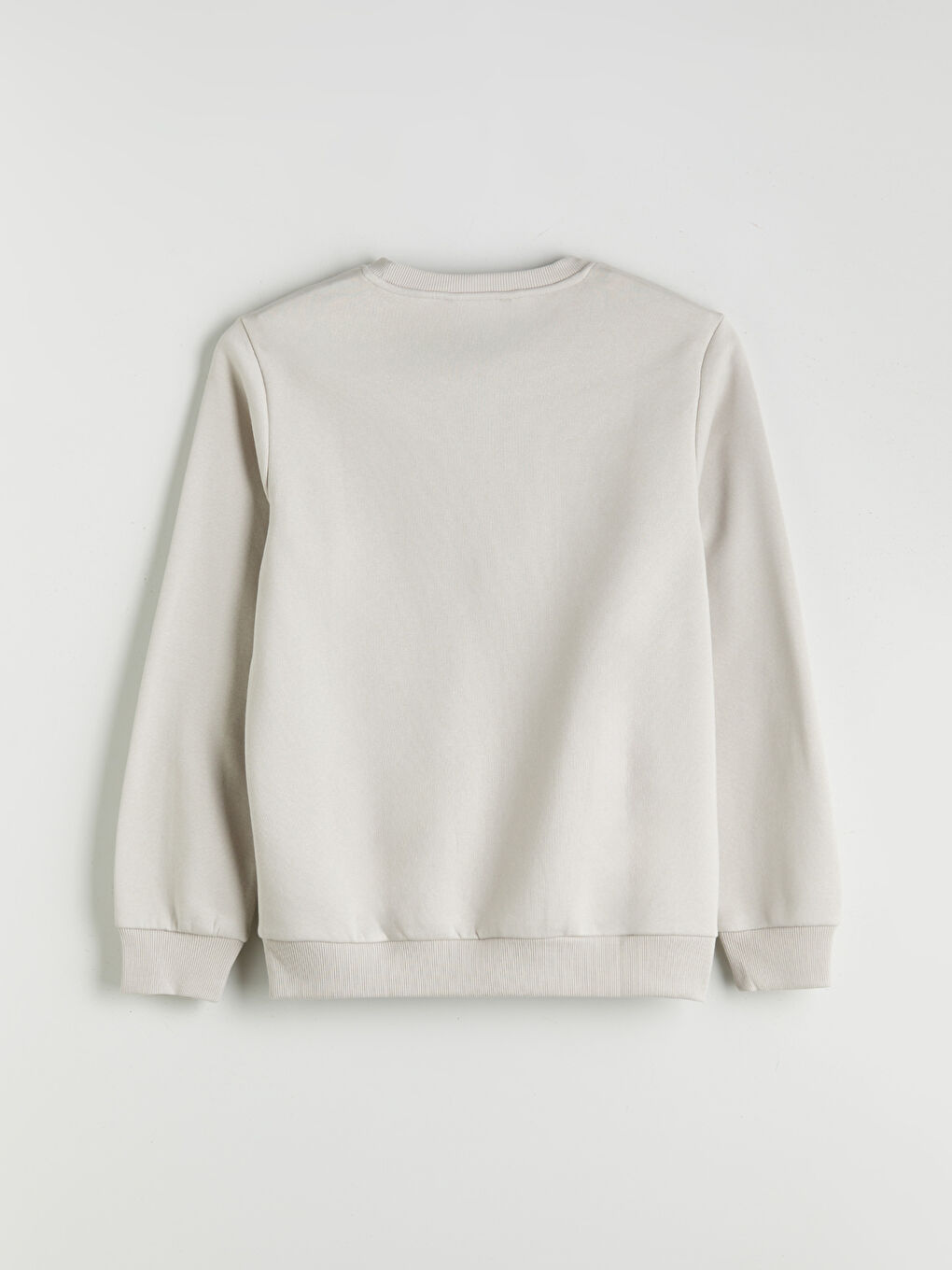 Crew Neck Printed Men's Sweatshirt-5