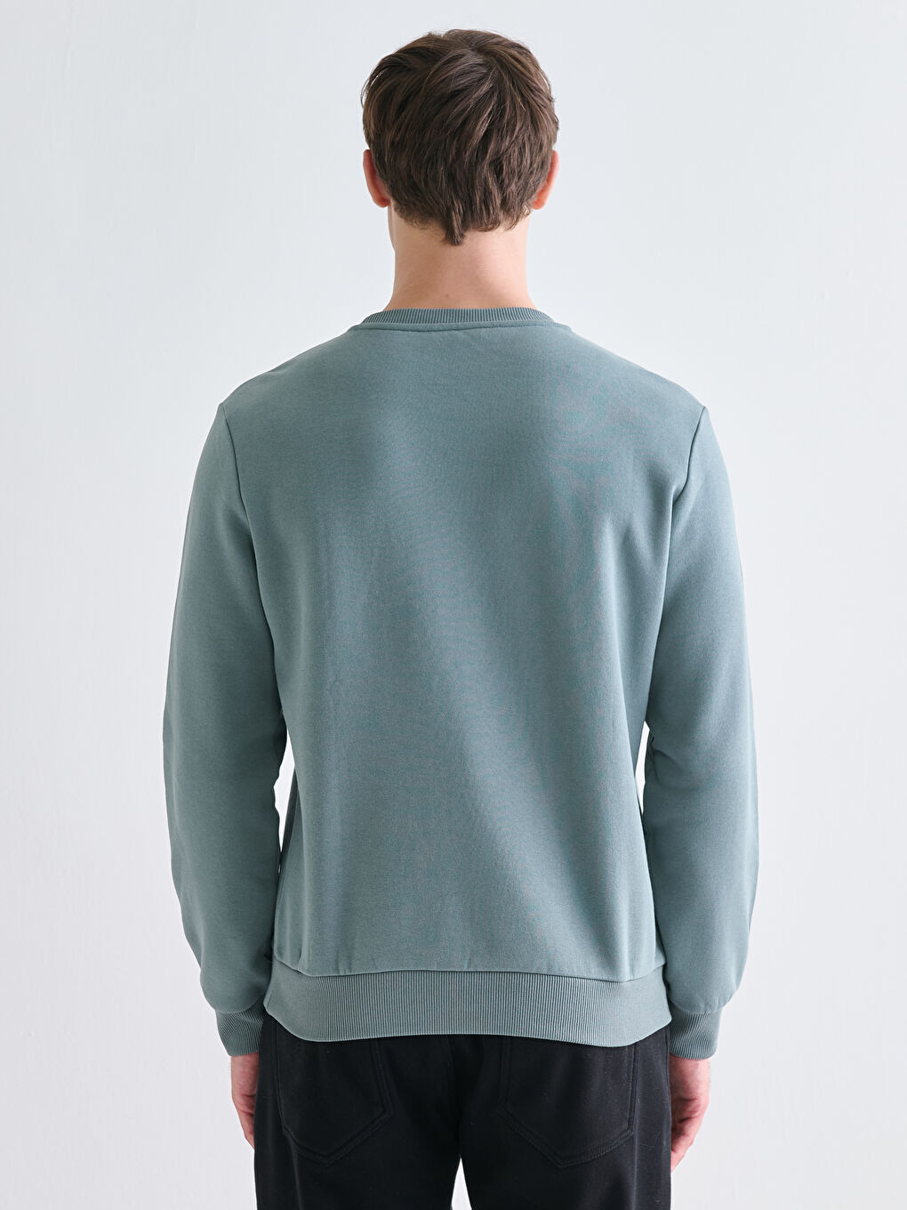 Crew Neck Printed Men's Sweatshirt-3