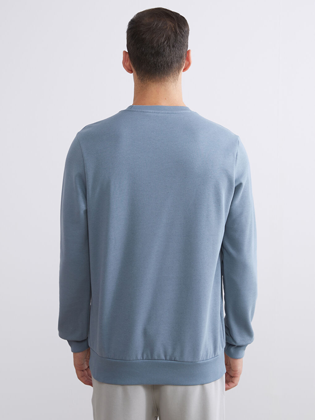 Crew Neck Printed Men's Sweatshirt-3
