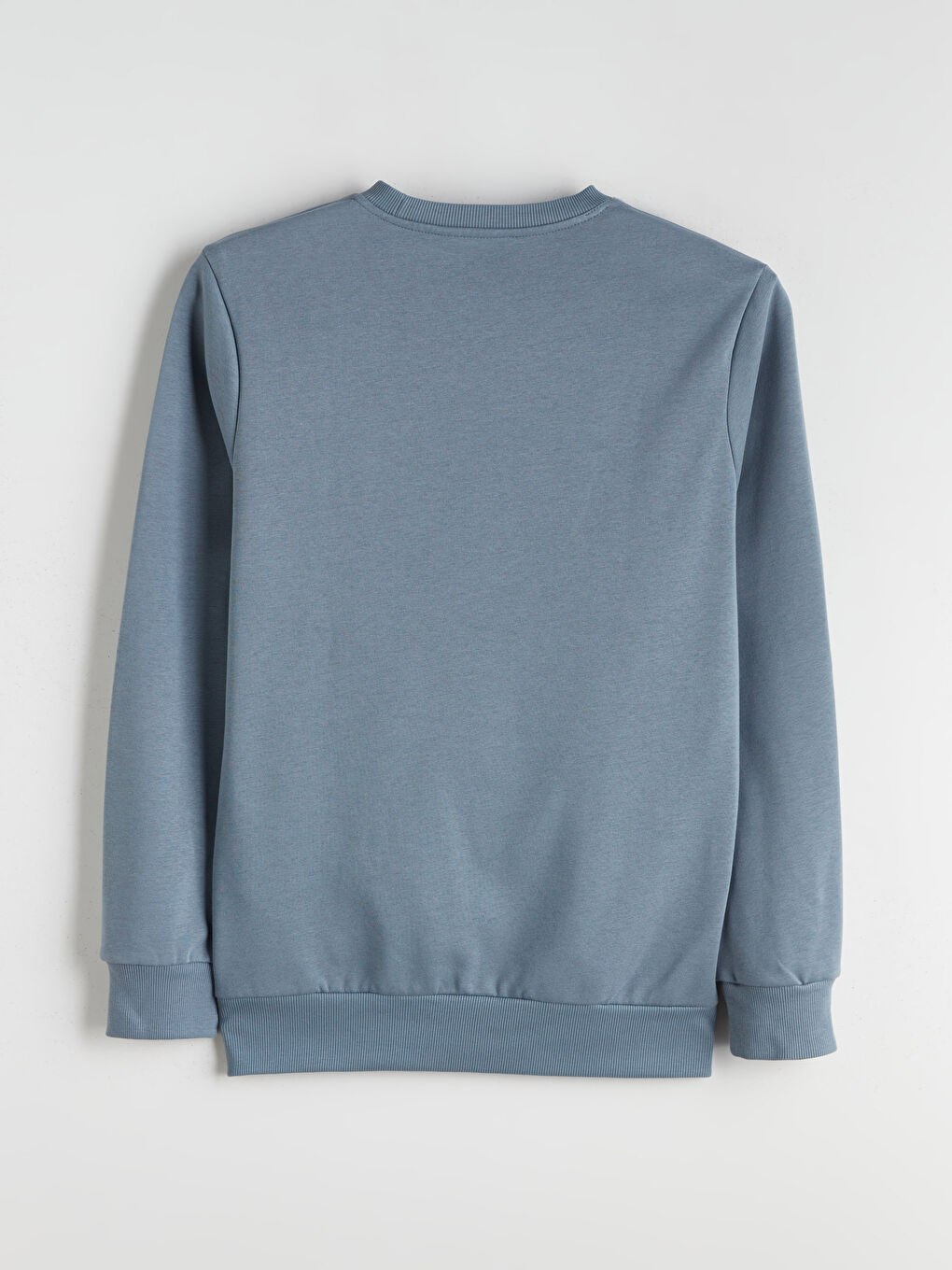 Crew Neck Printed Men's Sweatshirt-5