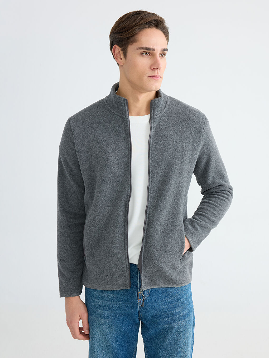 Standing Collar Long Sleeve Polar Men's Zippered Sweatshirt-2