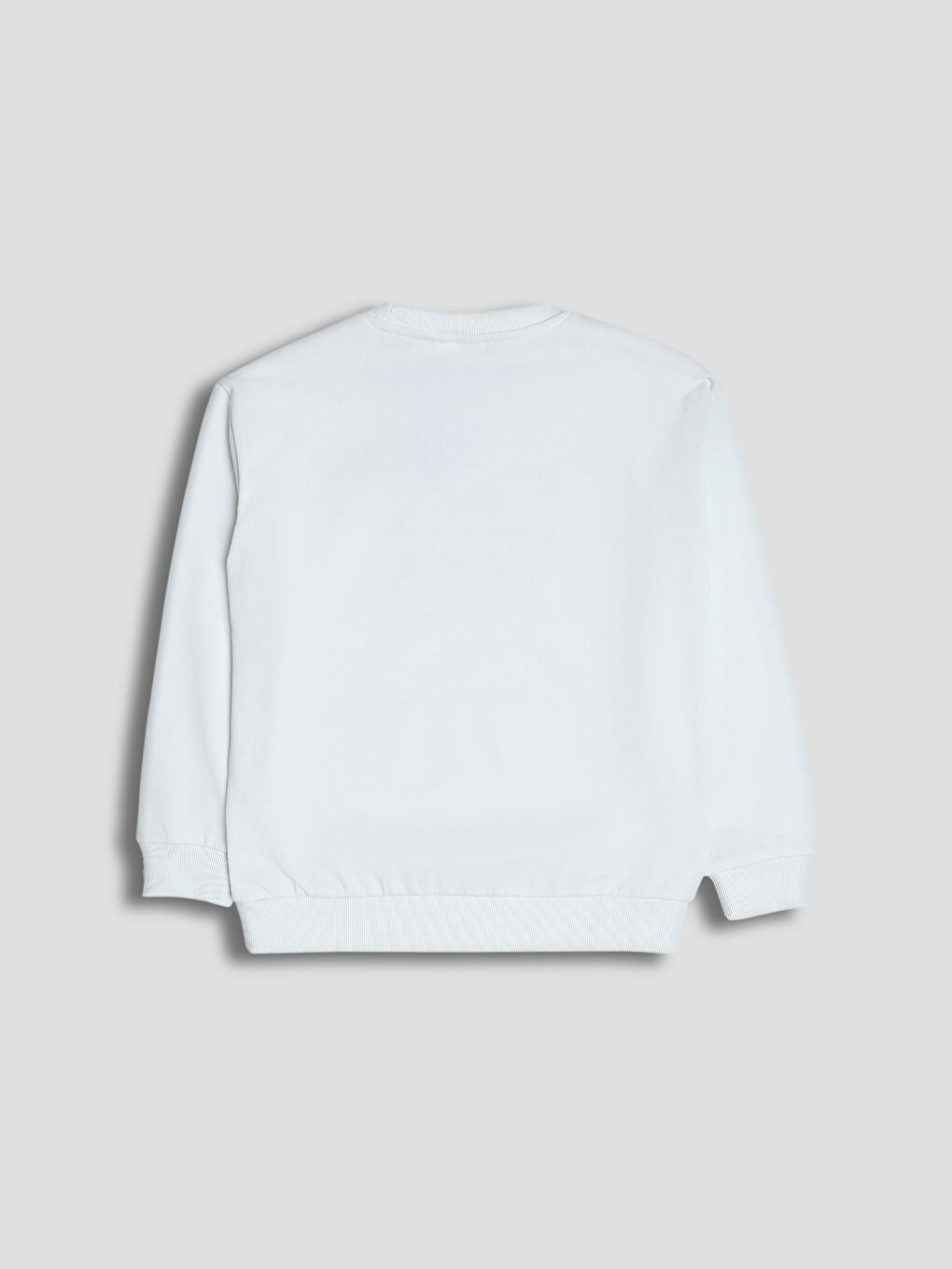 Printed Boys' Thick Sweatshirt-1