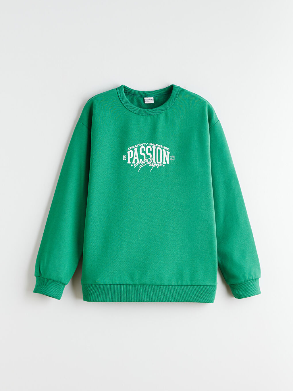 Yeşil Bisiklet Yaka Erkek Çocuk Sweatshirt 2'li-5